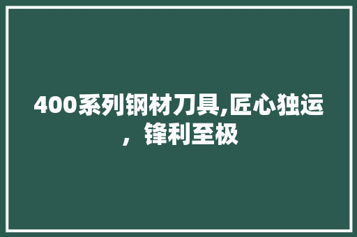 400系列钢材刀具,匠心独运，锋利至极