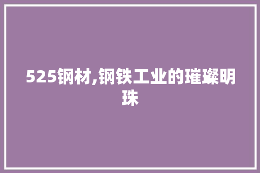 525钢材,钢铁工业的璀璨明珠