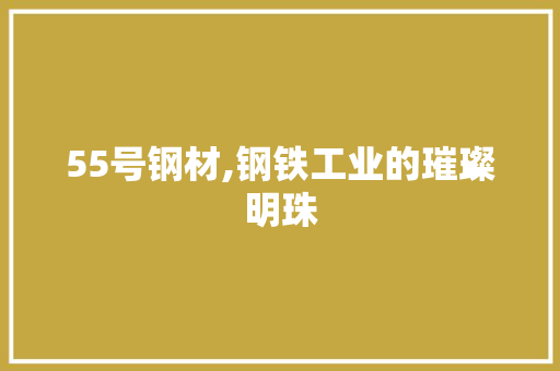 55号钢材,钢铁工业的璀璨明珠