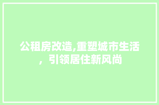 公租房改造,重塑城市生活，引领居住新风尚