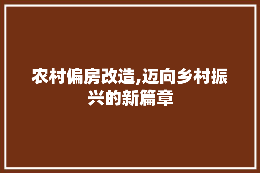 农村偏房改造,迈向乡村振兴的新篇章