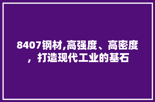 8407钢材,高强度、高密度，打造现代工业的基石