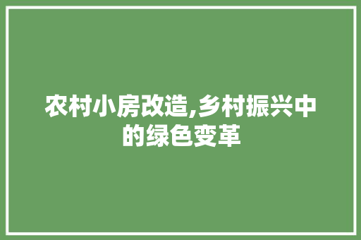 农村小房改造,乡村振兴中的绿色变革