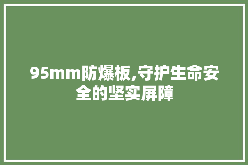 95mm防爆板,守护生命安全的坚实屏障
