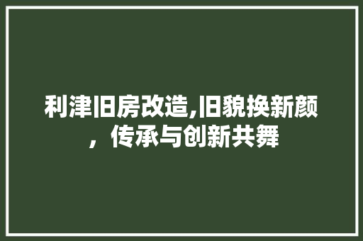 利津旧房改造,旧貌换新颜，传承与创新共舞