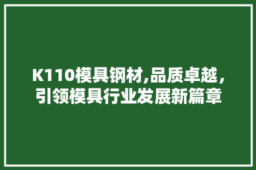 K110模具钢材,品质卓越，引领模具行业发展新篇章