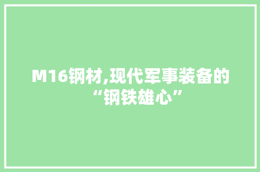 M16钢材,现代军事装备的“钢铁雄心”