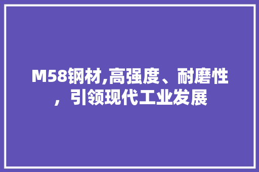 M58钢材,高强度、耐磨性，引领现代工业发展