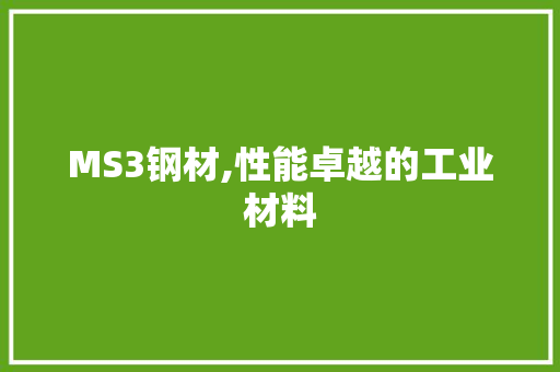 MS3钢材,性能卓越的工业材料