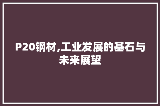 P20钢材,工业发展的基石与未来展望