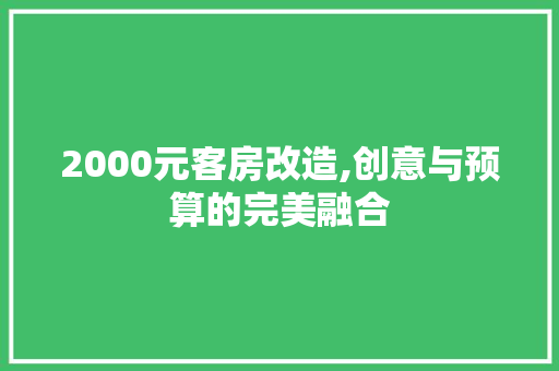 2000元客房改造,创意与预算的完美融合