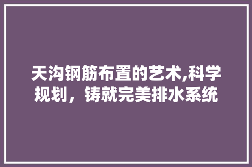 天沟钢筋布置的艺术,科学规划，铸就完美排水系统