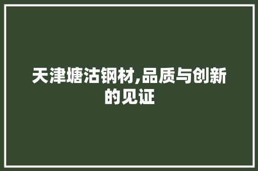 天津塘沽钢材,品质与创新的见证