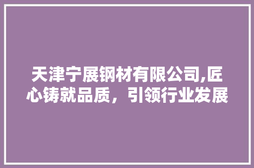 天津宁展钢材有限公司,匠心铸就品质，引领行业发展