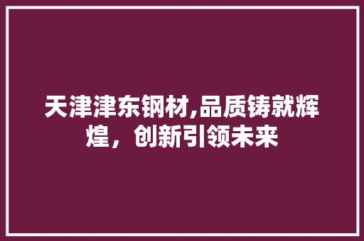 天津津东钢材,品质铸就辉煌，创新引领未来