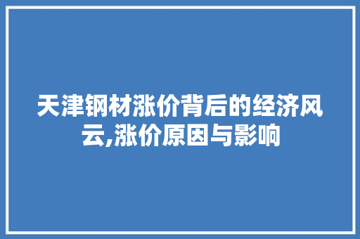 天津钢材涨价背后的经济风云,涨价原因与影响