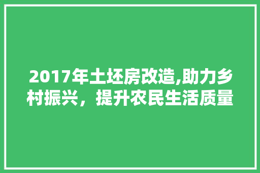 2017年土坯房改造,助力乡村振兴，提升农民生活质量