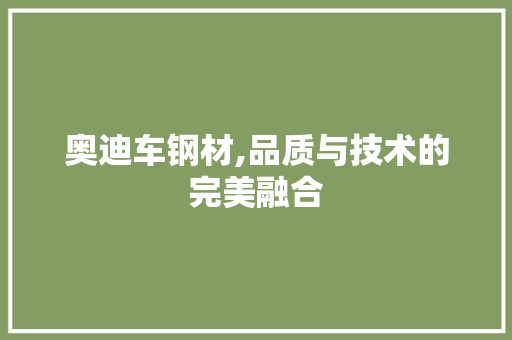 奥迪车钢材,品质与技术的完美融合