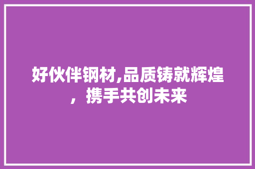 好伙伴钢材,品质铸就辉煌，携手共创未来