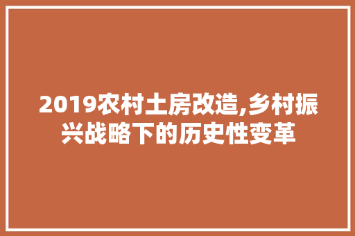 2019农村土房改造,乡村振兴战略下的历史性变革