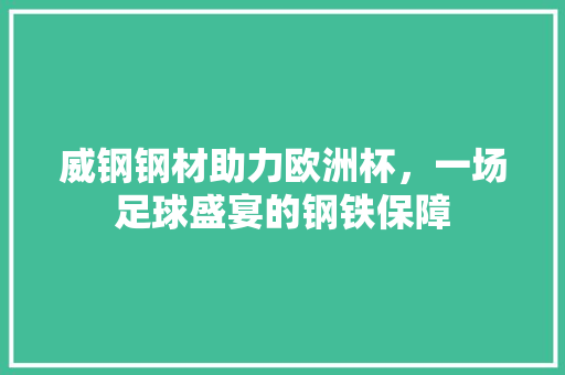 威钢钢材助力欧洲杯，一场足球盛宴的钢铁保障