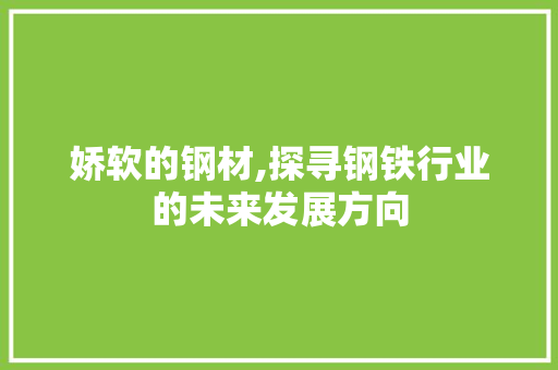 娇软的钢材,探寻钢铁行业的未来发展方向