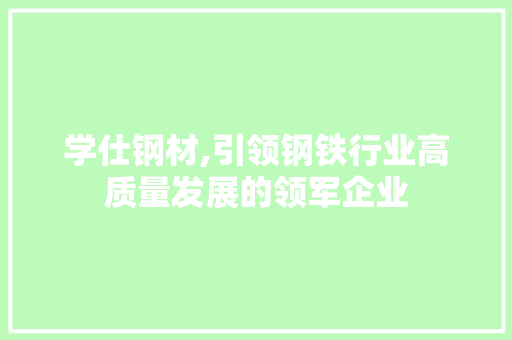学仕钢材,引领钢铁行业高质量发展的领军企业