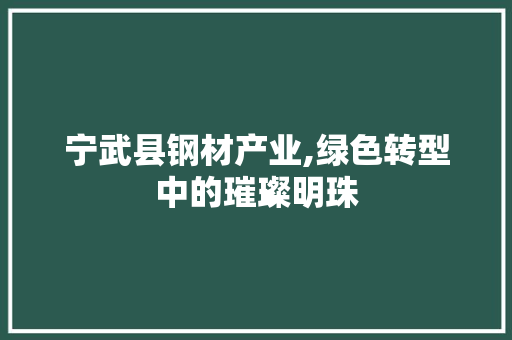 宁武县钢材产业,绿色转型中的璀璨明珠