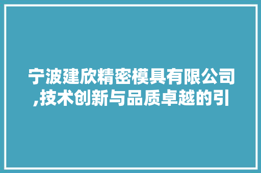 宁波建欣精密模具有限公司,技术创新与品质卓越的引领者