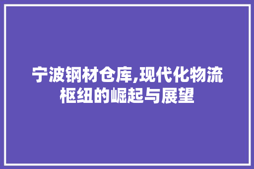 宁波钢材仓库,现代化物流枢纽的崛起与展望