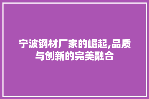 宁波钢材厂家的崛起,品质与创新的完美融合