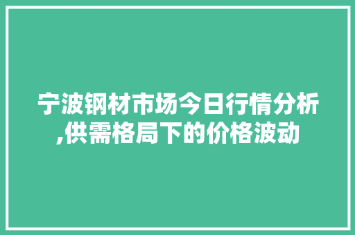 宁波钢材市场今日行情分析,供需格局下的价格波动