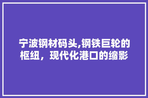 宁波钢材码头,钢铁巨轮的枢纽，现代化港口的缩影