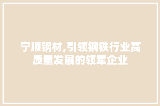 宁顺钢材,引领钢铁行业高质量发展的领军企业