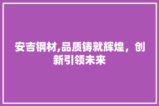 安吉钢材,品质铸就辉煌，创新引领未来