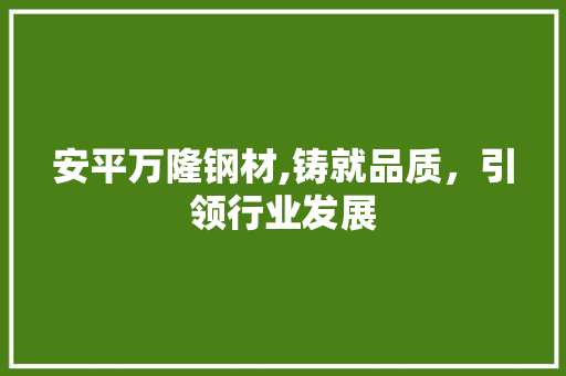 安平万隆钢材,铸就品质，引领行业发展