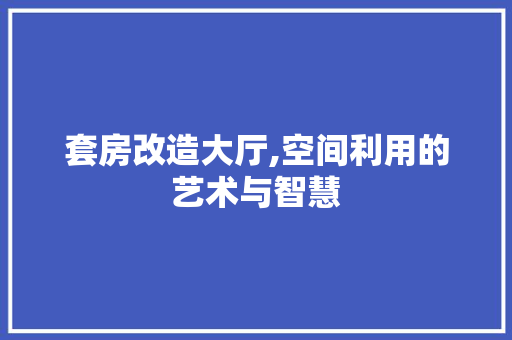 套房改造大厅,空间利用的艺术与智慧