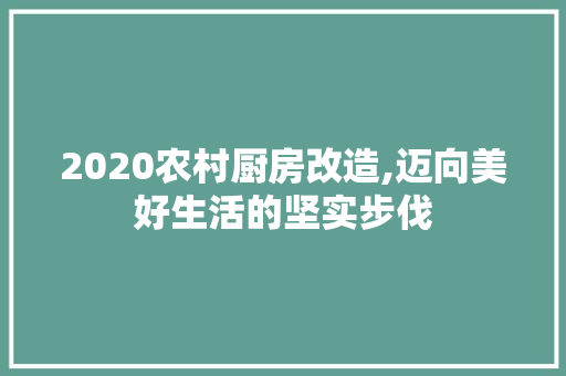 2020农村厨房改造,迈向美好生活的坚实步伐