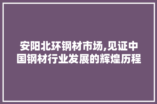 安阳北环钢材市场,见证中国钢材行业发展的辉煌历程