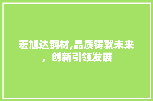 宏旭达钢材,品质铸就未来，创新引领发展