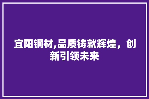 宜阳钢材,品质铸就辉煌，创新引领未来
