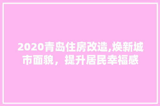 2020青岛住房改造,焕新城市面貌，提升居民幸福感