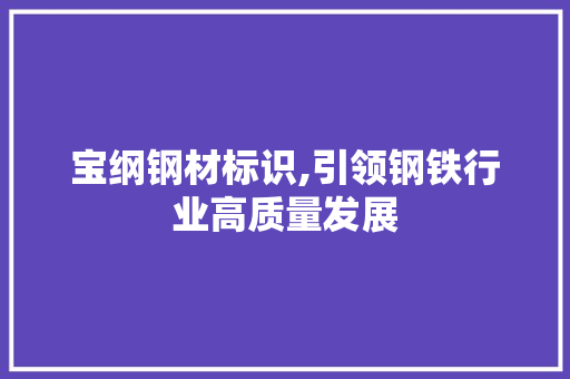 宝纲钢材标识,引领钢铁行业高质量发展