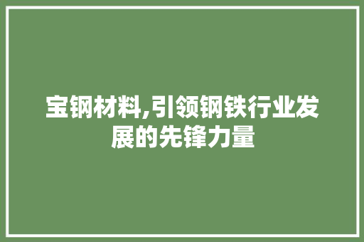 宝钢材料,引领钢铁行业发展的先锋力量