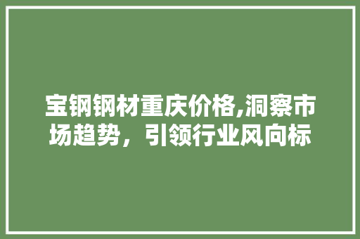 宝钢钢材重庆价格,洞察市场趋势，引领行业风向标