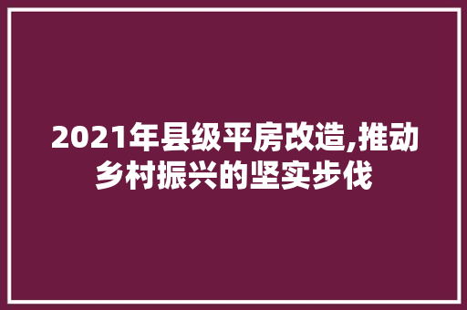2021年县级平房改造,推动乡村振兴的坚实步伐