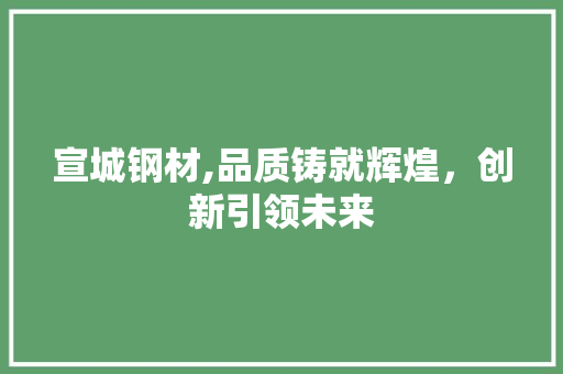 宣城钢材,品质铸就辉煌，创新引领未来