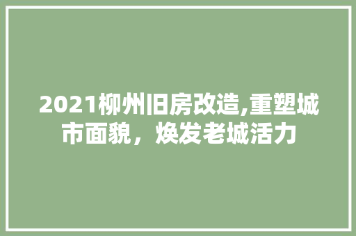 2021柳州旧房改造,重塑城市面貌，焕发老城活力