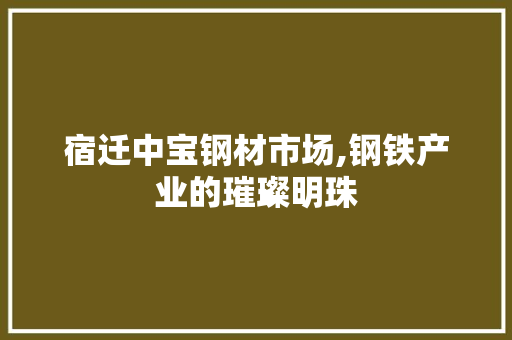 宿迁中宝钢材市场,钢铁产业的璀璨明珠