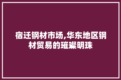 宿迁钢材市场,华东地区钢材贸易的璀璨明珠
